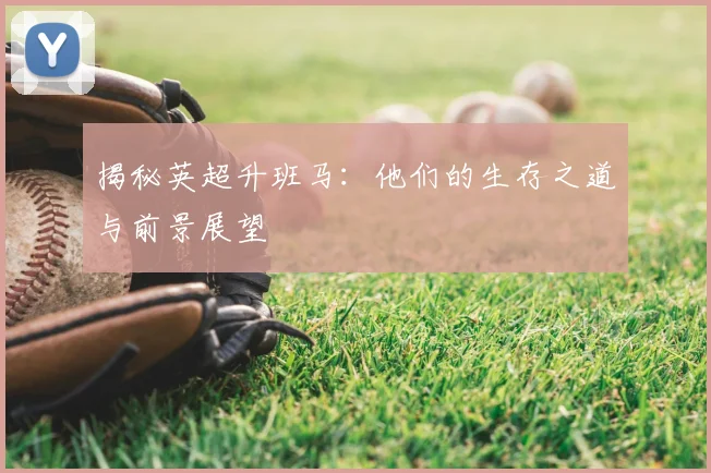 揭秘英超升班马：他们的生存之道与前景展望