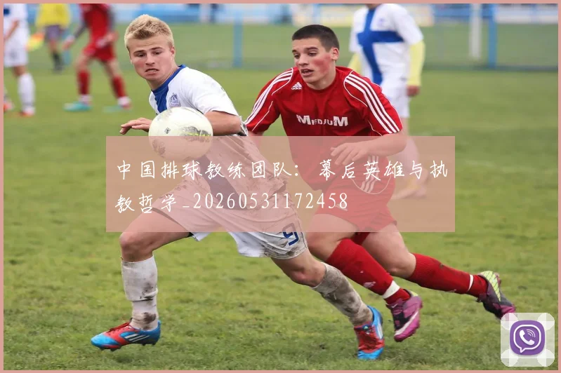 中国排球教练团队：幕后英雄与执教哲学_20260531172458