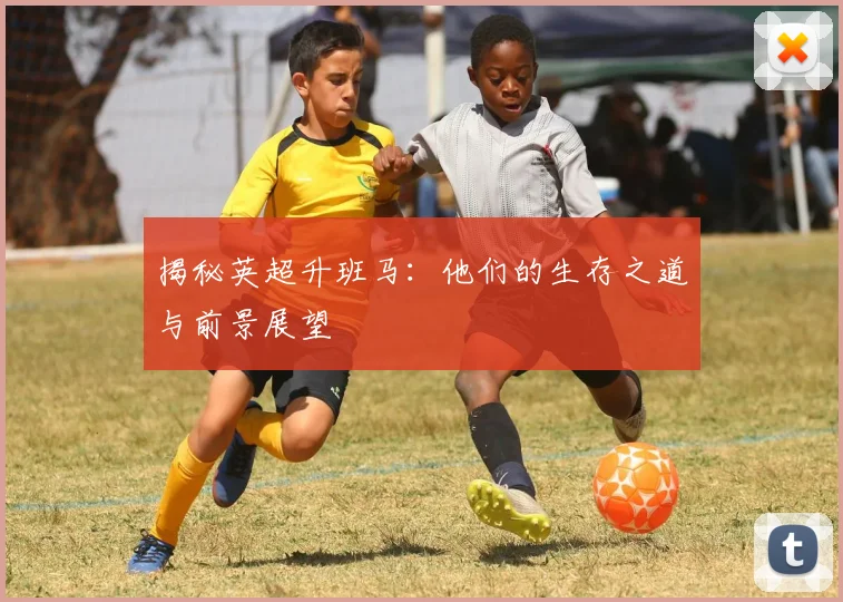 揭秘英超升班马：他们的生存之道与前景展望