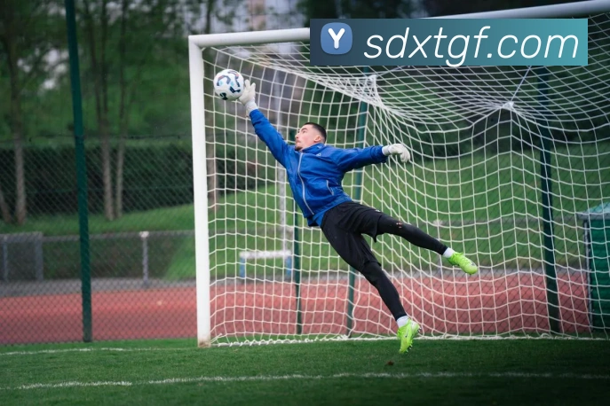 数据分析功能